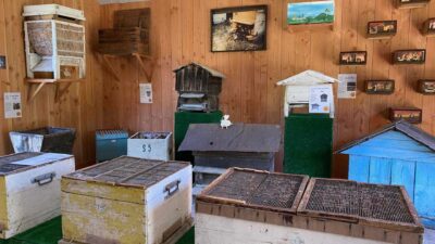 Ruche ancienne différent pays