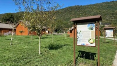Parc musée apiculture - Cité des abeilles